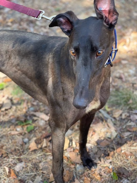 Waiting For You-image