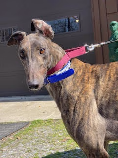 John Mullins Aidan-image